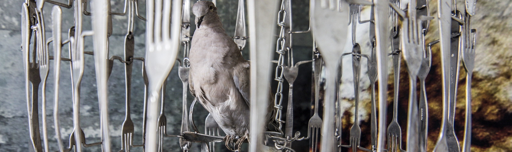 Foto's Hotel Trash Deluxe